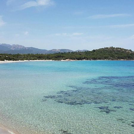 Camping California Pinarellu  Bagian luar foto